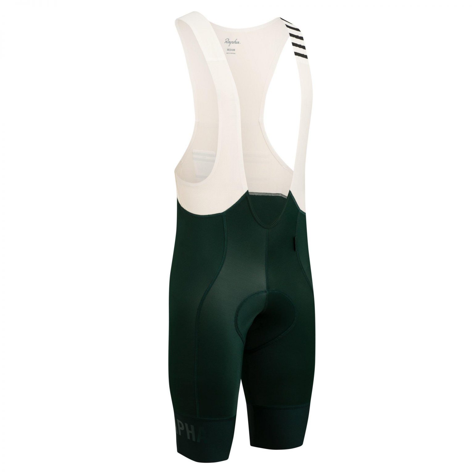 pro team bib shorts ii